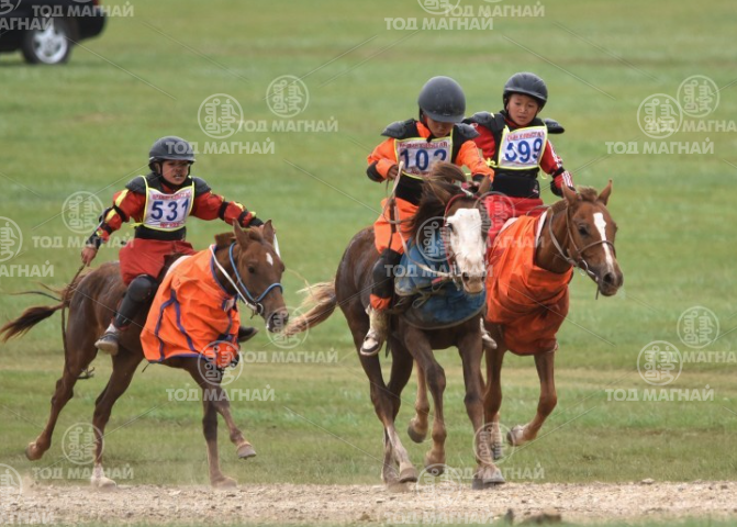  Зээрд халзан