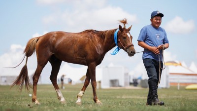 Зээрд халзан