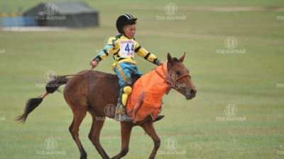 Хээр халзан