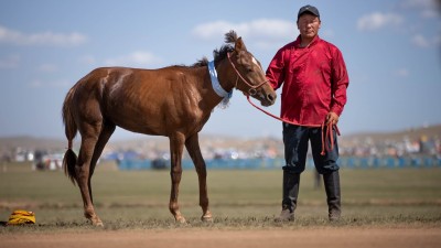 Хүрэн халзан