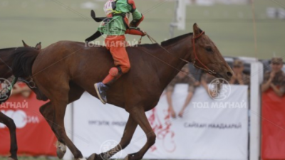 Хээр халзан