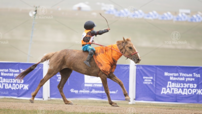Хонгор халзан