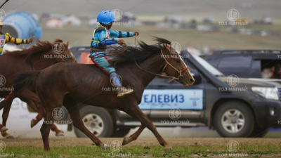 Хүрэн халзан