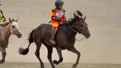 Магнай халтар