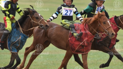 Хүрэн халзан