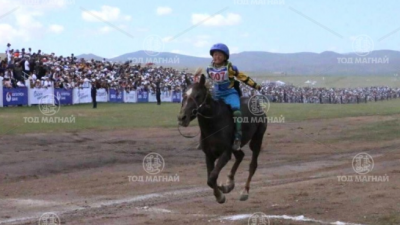 Сартай зээрд