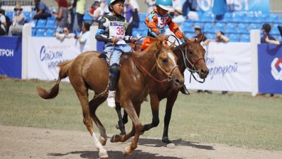 Хонгор халзан