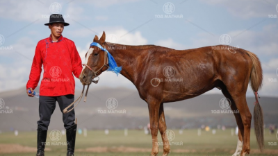 Харцага халзан