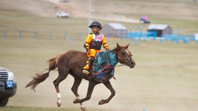 Бүлтгэр халзан