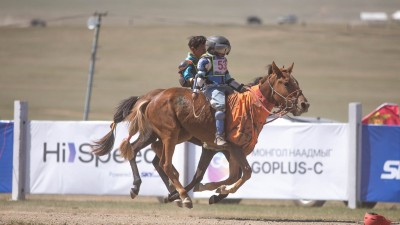 Хүрэн халзан