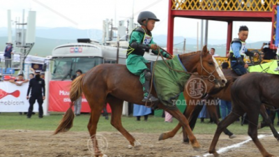 Зээрд халзан