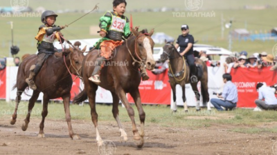 Хонгор халзан