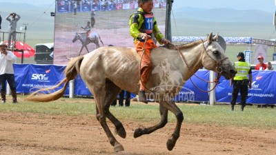 Пүрэвбаатарын загал