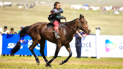 Хээр халзан