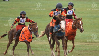 Зээрд халзан