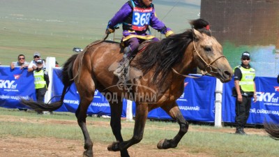 Одонбаатарын халиун