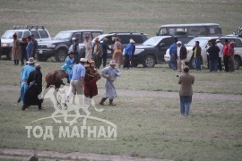 Айргийн тав Говь-Алтай аймгийн Халиун сумын уугуул аймгийн Алдарт уяач Н.Загддоржийн зээрд халзан