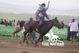 1. Говь-Алтай аймгийн Шарга сумын уугуул Монгол улсын Манлай уяач Х.Бат-Эрдэнийн хүрэн 