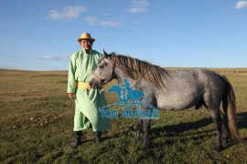 “Ану сервис” компанийн Гүйцэтгэх захирал Б.Буяннэмэх: Монгол наадамд миний морьд тоо нэмж, тоосоо өргөж байгаа нь л чухал