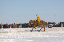 Сүхбаатар аймгийн аварга хүлэг шалгаруулах уралдаанд түрүүлж айрагдсан хурдан соёолонгууд