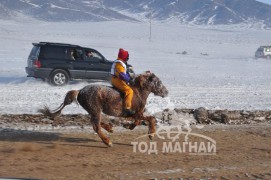 Айргийн гурав – Хөвсгөл аймгийн Мөрөн сумын уяач Б.Галбадрахын Хүрэн Азарга