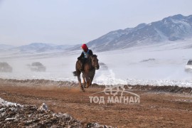 Айргийн дөрөв – Хөвсгөл аймгийн Мөрөн сумын уяач Г.Намсрайдоржийн Хул морь 