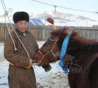 Д.Гэндэнсүрэн: Халзангийн адуугаар түлхүү наадъя гэсэн бодол байгаа