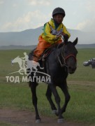 3. Орхон аймгийн Баян-Өндөр сумын харьяат Ц.Батхуягийн хар хязаалан