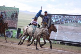 4. Төв аймгийн Баянцогт сумын уугуул Монгол улсын Тод манлай уяач С.Ганхуягийн бор