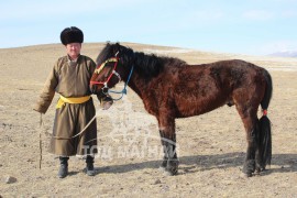 Говь-Алтай аймгийн алдарт уяач Н. Батболд: Би магнай тэнэгэр нааддаг хүн