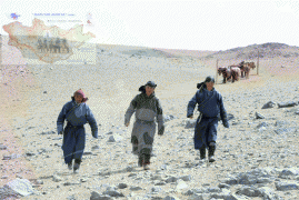 Баян-Өндөр сумаас Говь-Алтай аймгийн Эрдэнэ сум орох замд Дөрөлжийн худаг гэдэг газар малчин Гансүхийнд үдлэв 
