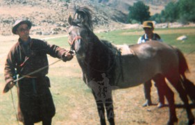 Монгол Улсын Алдарт уяач Данзангийн Санжаадорж