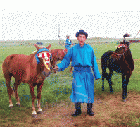 Залуу уяач С.Мөнгөнбаяр: Монгол жокей клубын цэвэр цусны азаргануудыг малладаг