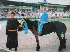1998 оны Улсын баяр наадамд аман хүзүүдсэн халтар азарга