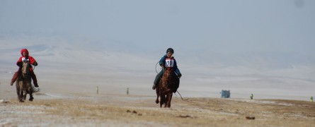 “Дүнжингарав-2015”уралдаанд түрүүлж, айрагдсан эрлийз морьдын амжилтыг түтгэлзүүллээ