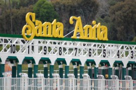 100 жилийн түүхтэй Санта-Анитагийн паркаар...