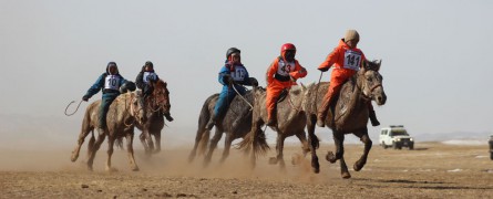 Монголын хурдан морины уралдааны талаар гарч буй зарим мэдээллийг эргэцүүлэхүй...