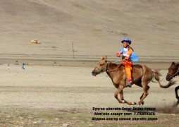 Булган аймгийн баяр наадмын түрүүлж, айрагдсан хурдан хүлгүүд