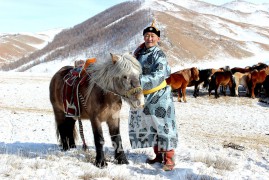 Аймгийн Алдарт уяач С.Шагдар: 24 жилийн дараа анхны айргаа авч байлаа