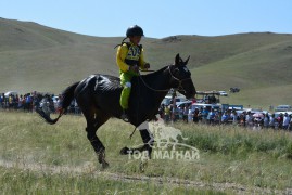 Долоо-Батсайханы сартай хар