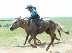 Айргийн гурав-Д.Очирбатын шарга