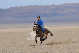 Уралдаанч Г.Буянтогтох:Өвөл тэмээ унах дулаахан, сайхан