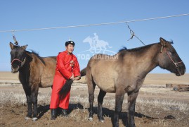 Сумын Алдарт уяач Н.Уламбаяр: Аавыхаа бий болгосон буянгуудаар сайхан наадаж буйдаа баяртай явдаг