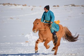 Шилдэг уралдаанч Б.Баянжаргал: Уралдааны өглөө морины маань нүд нь сэргэг байвал дээгүүр давхичихаад байдаг юм