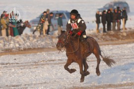 Залуу уяач Э.Орхон: Морь уясан анхны жилээ амжилт арвин сайхан наадсан