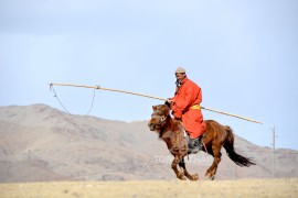 Сумын Алдарт уяач Д.Батсүх: Сумынхаа наадамд хоёр жил дарааллан шүдлэн айрагдуулсан