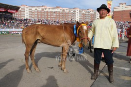 МУ-ын Алдарт уяач Г.Буянтогтох: Сайн багш, хурдан морь, хөдөлмөрч зан гурав л уяачийг амжилтанд хүргэнэ дээ