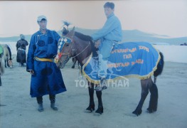 Хээр морь 2007 онд Түмэн малын баярт айргийн гуравт