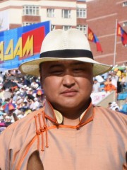 Н.Мөнхбаясгалан